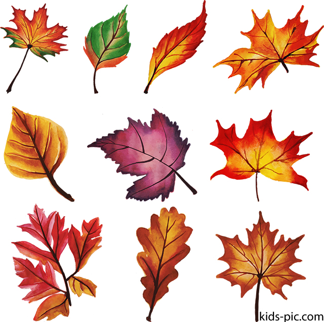 Free Printable Fall Leaves Templates Kids Pic Com