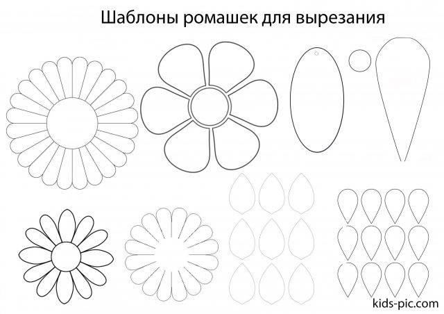 шаблон ромашки для вырезания из бумаги а4