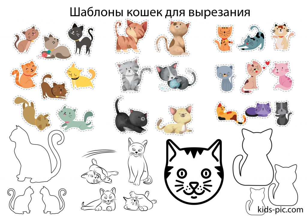 Cat templates to cut out kids pic