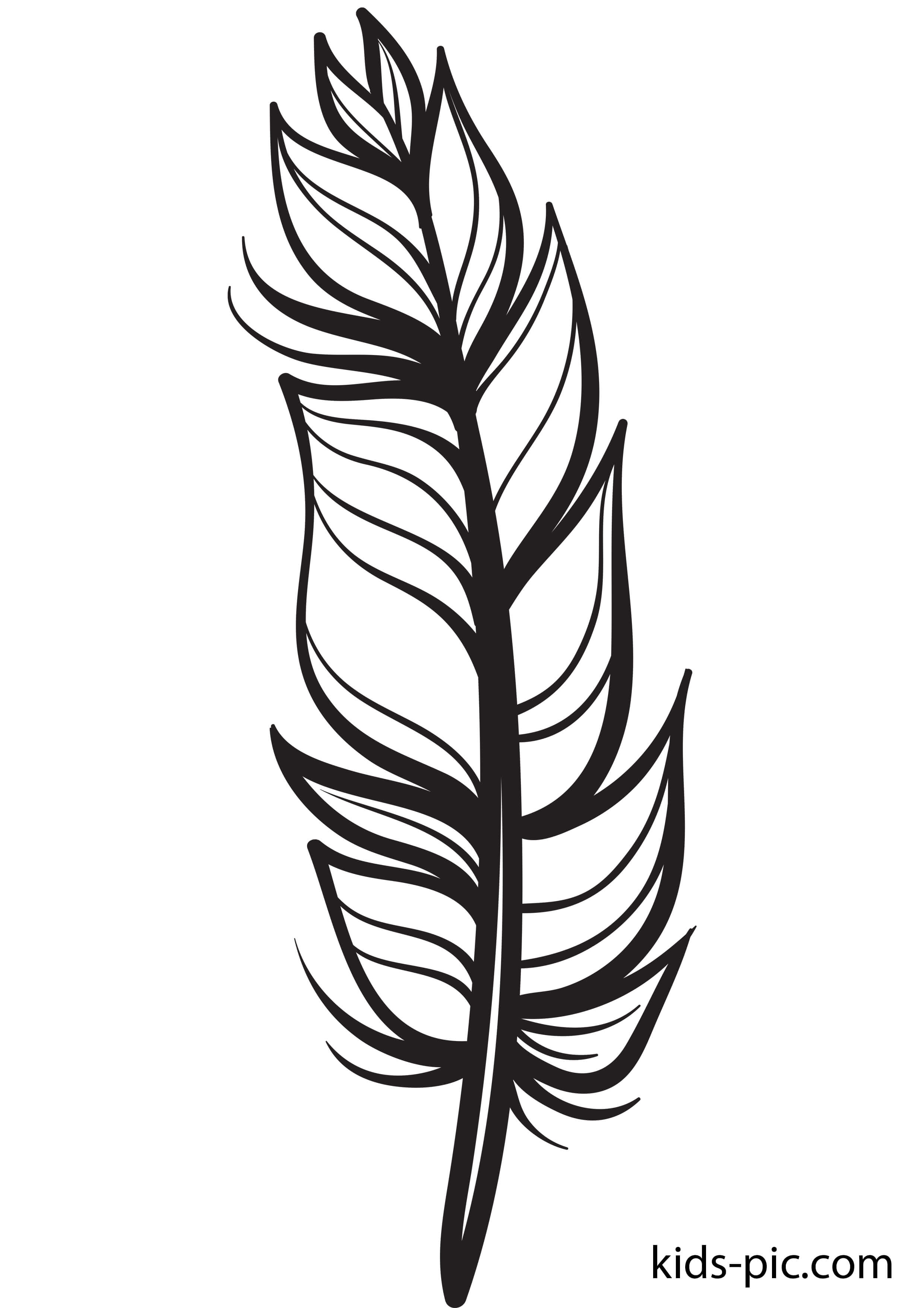 Bird Feather Coloring Pages Kids Pic Com