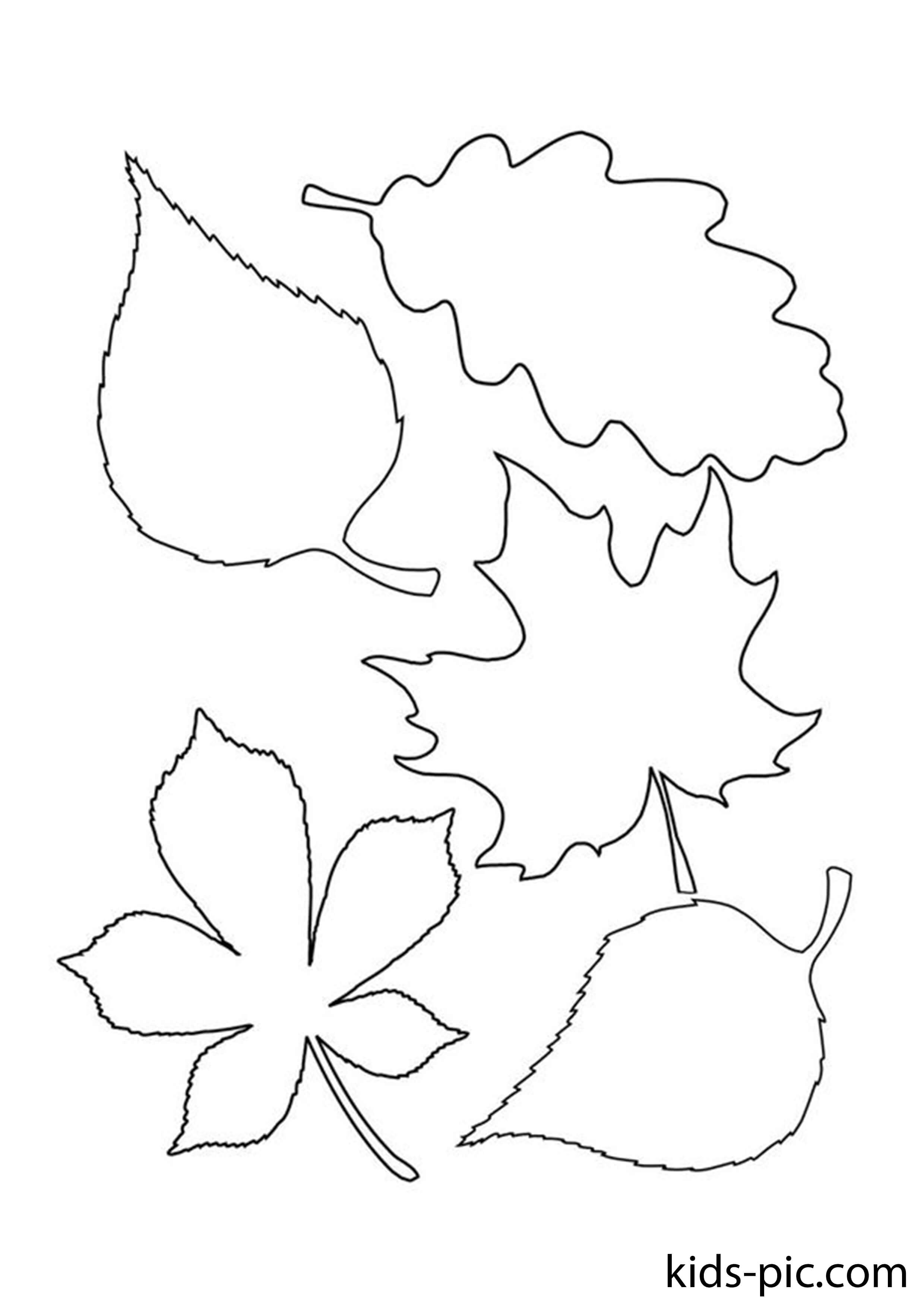 Free Printable Fall Leaves Templates Kids Pic