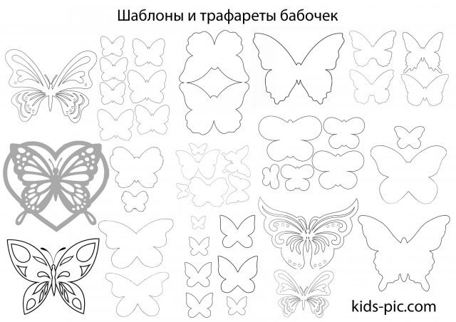 Идеи трафаретов бабочек из бумаги