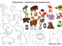 Шаблони Тварин для Вирізання з Паперу