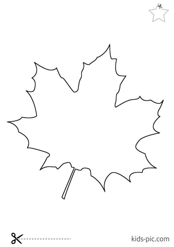 Free Maple Leaf Cut Out Templates Kids Pic Com