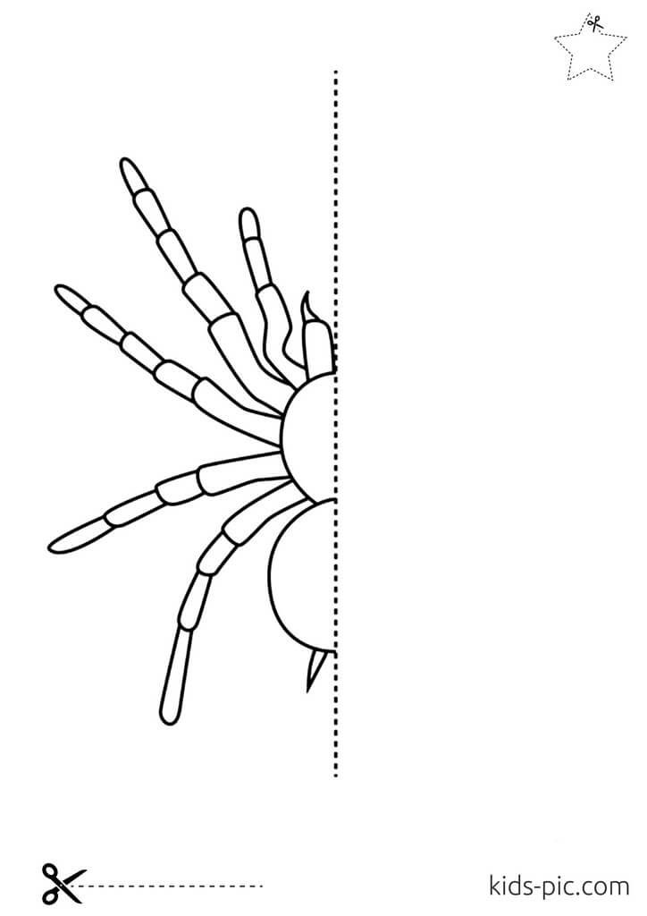как вырезать паука из бумаги на хэллоуин