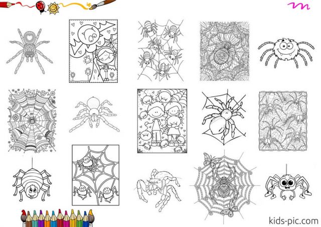 spider shapes coloring pages