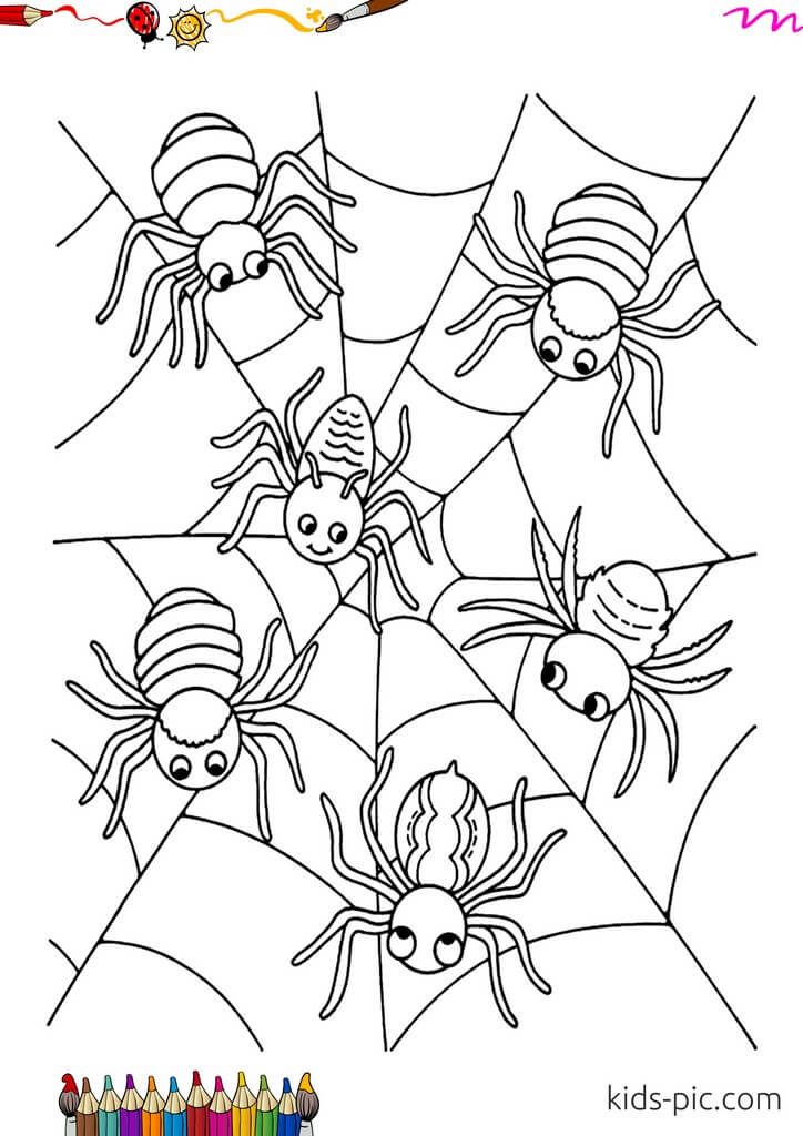 free coloring pages of spiders